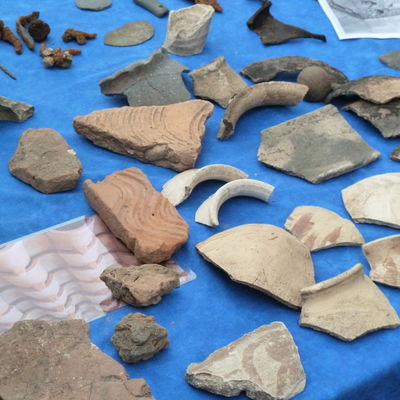 Fundstücke der Grabung an der Niederungsburg in Hainhausen sind auf einem Tisch ausgestellt.