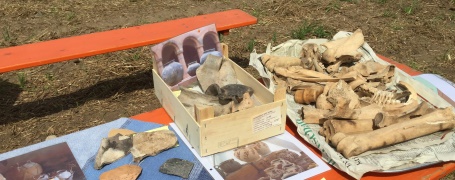 Bild vergr&ouml;&szlig;ern: Fundstücke der Grabung in Zellhausen