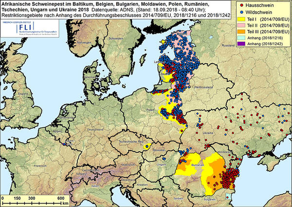 Karte: ASF im Baltikum, in Belgien, Bulgarien, Moldawien, Polen, Rumänien, Tschechien, Ungarn und Ukraine in 2018, Stand 18.09.2018