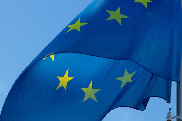 Bild vergr&ouml;&szlig;ern: Europaflagge