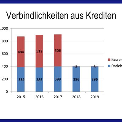 Bild vergr&ouml;&szlig;ern: Jahresabschluss 2019 - Verbindlichkeiten aus Krediten