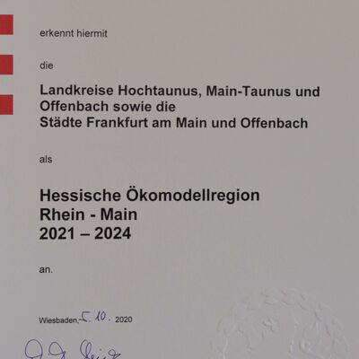 Urkunde "Hessische komodellregion".