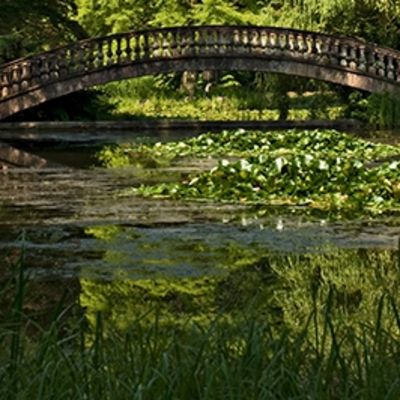 Schloss Wolfsgarten