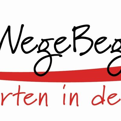 Bild vergr&ouml;&szlig;ern: BerufsWegeBegleitung