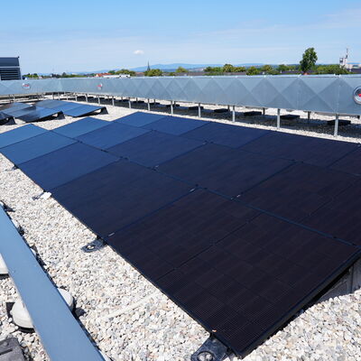 Bild vergr&ouml;&szlig;ern: Baustellenbegehung Friedrich-Ebert-Gymnasium: Photovoltaik und Wärmepumpe