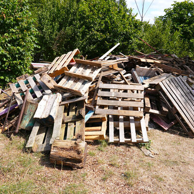 Bild vergr&ouml;&szlig;ern: Internationales Workcamp: Holzhaufen