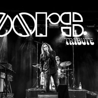 The Doors Tribute Band